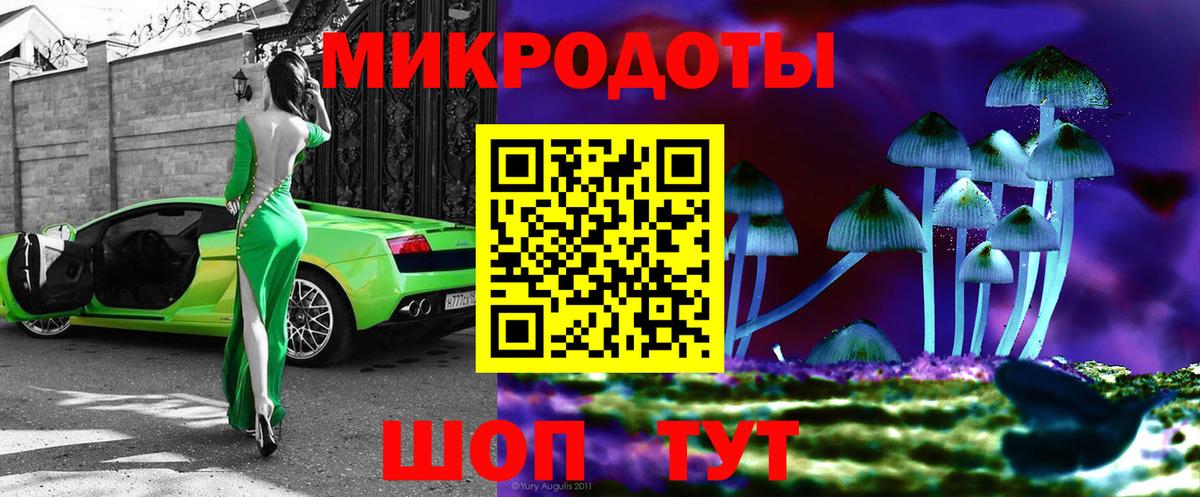 Псилоцибиновые грибы Cubensis Урюпинск