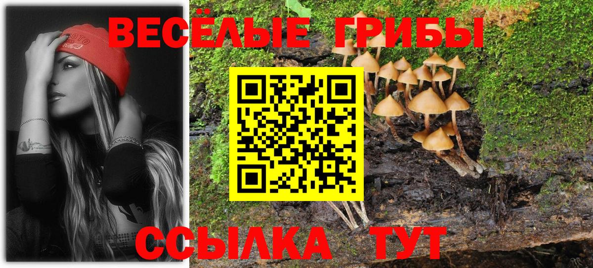 Галлюциногенные грибы ЛСД  Галлюциногенные грибы мицелий  Урюпинск  Вход с VPN 
